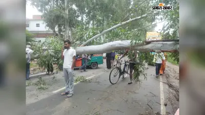 रोहतास : बिक्रमगंज में आंधी-बारिश बनी आफत, आरा-सासाराम मुख्य सड़क पर रातभर पड़ा रहा पेड़, लगा जाम