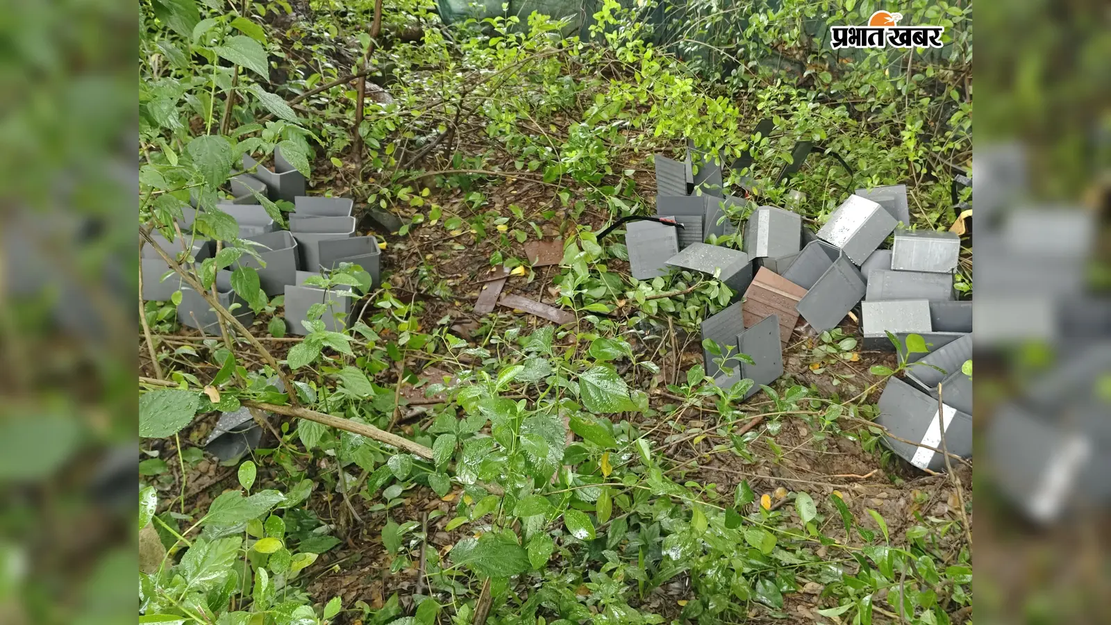 पंचगछिया में चोरों ने उड़ाई ट्रांसफॉर्मर की कॉयल, अंधेरे में डूबा क्षेत्र