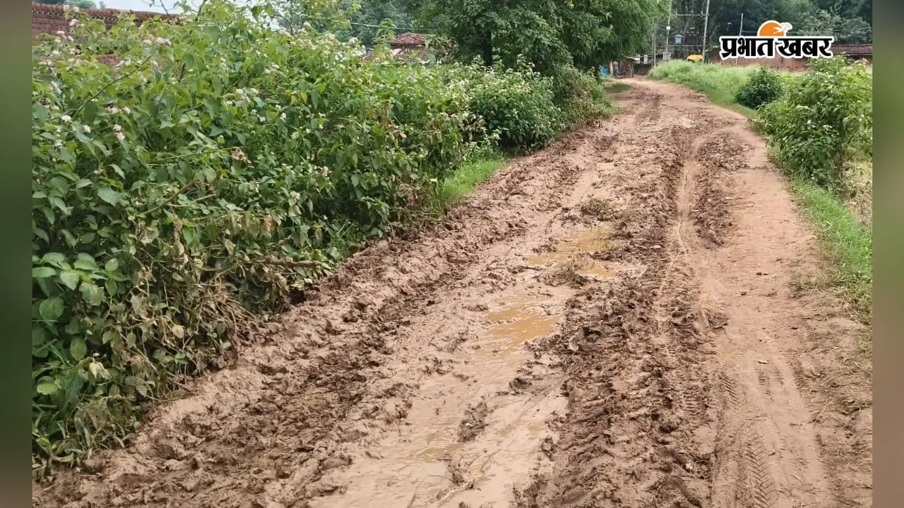 लोहरदगा में दो दिनों में 58 मिमी बारिश, धान को राहत लेकिन सब्जी फसल पर संकट; किसान बेहाल