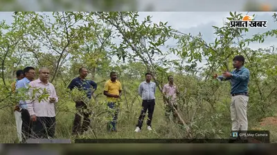 अब गांव में ही मिलेगा रोजगार और कमाई का मौका, 34 एकड़ के बागान में तसर उत्पादन की तैयारी