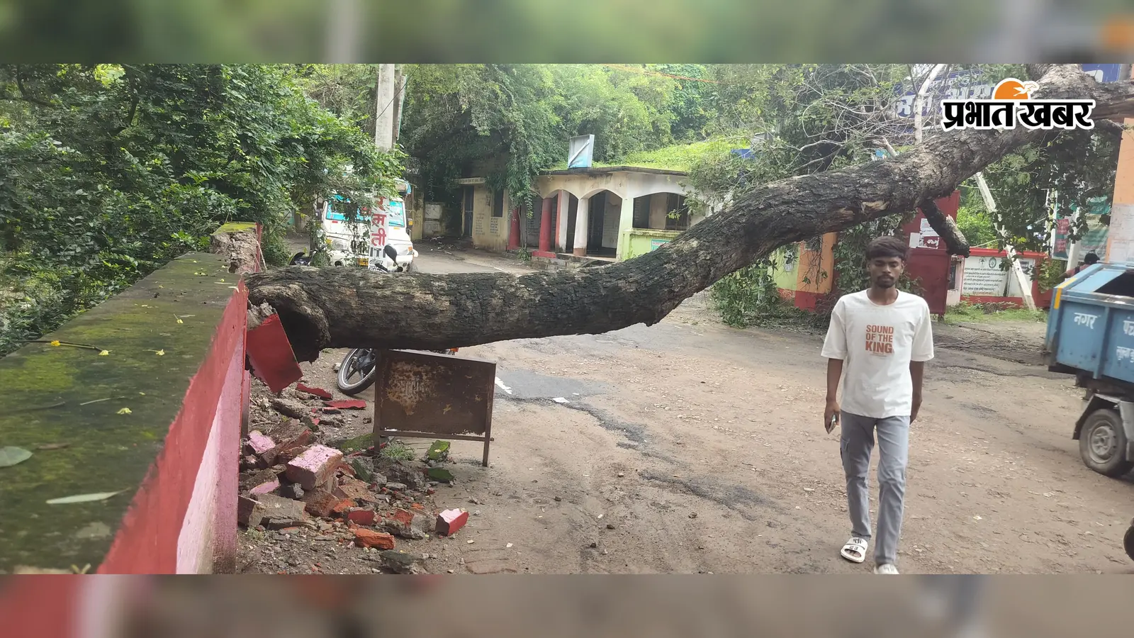 कैमूर: मूसलाधार बारिश में उखड़ा विशाल पेड़, रेफरल अस्पताल का गेट बंद; एंबुलेंस और मरीजों की बढ़ी परेशानी