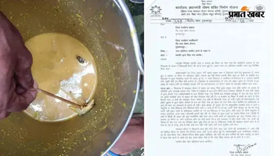 Muzaffarpur: मिड डे मील में छिपकली मिलने पर हड़कंप, बच्चों की जांच में फूड पॉइजनिंग के लक्षण नहीं, एजेंसी पर उठे सवाल