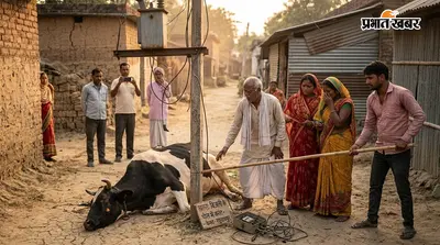 बक्सर: केसठ के रघुनाथपुर में बिजली के पोल में उतरा करंट, मवेशी की मौके पर मौत; किसान को हजारों का नुकसान