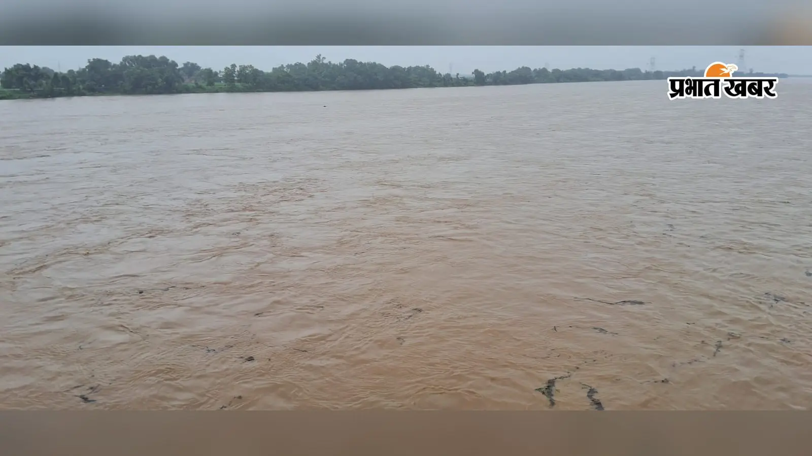 औरंगाबाद: सोन नदी में बढ़ा जलस्तर, दाउदनगर से बारुण तक अलर्ट; दियारा में गये लोगों को लौटने की अपील
