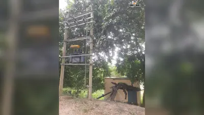 बेगूसराय में लाखों खर्च के बाद भी सूखे पड़े सरकारी नलकूप, तीन साल से पानी का इंतजार कर रहे किसान