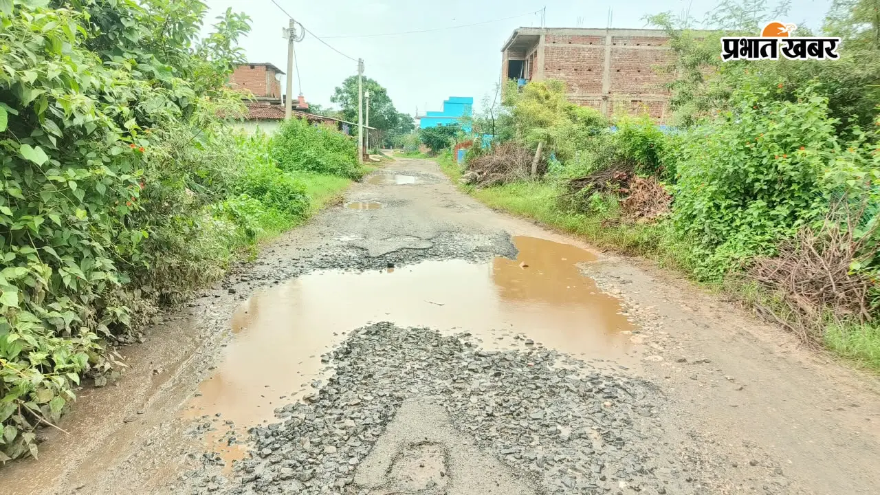 नावाडीह: बच्चों से मरीजों तक की राह मुश्किल, जर्जर सड़क पर हर पल हादसे का डर