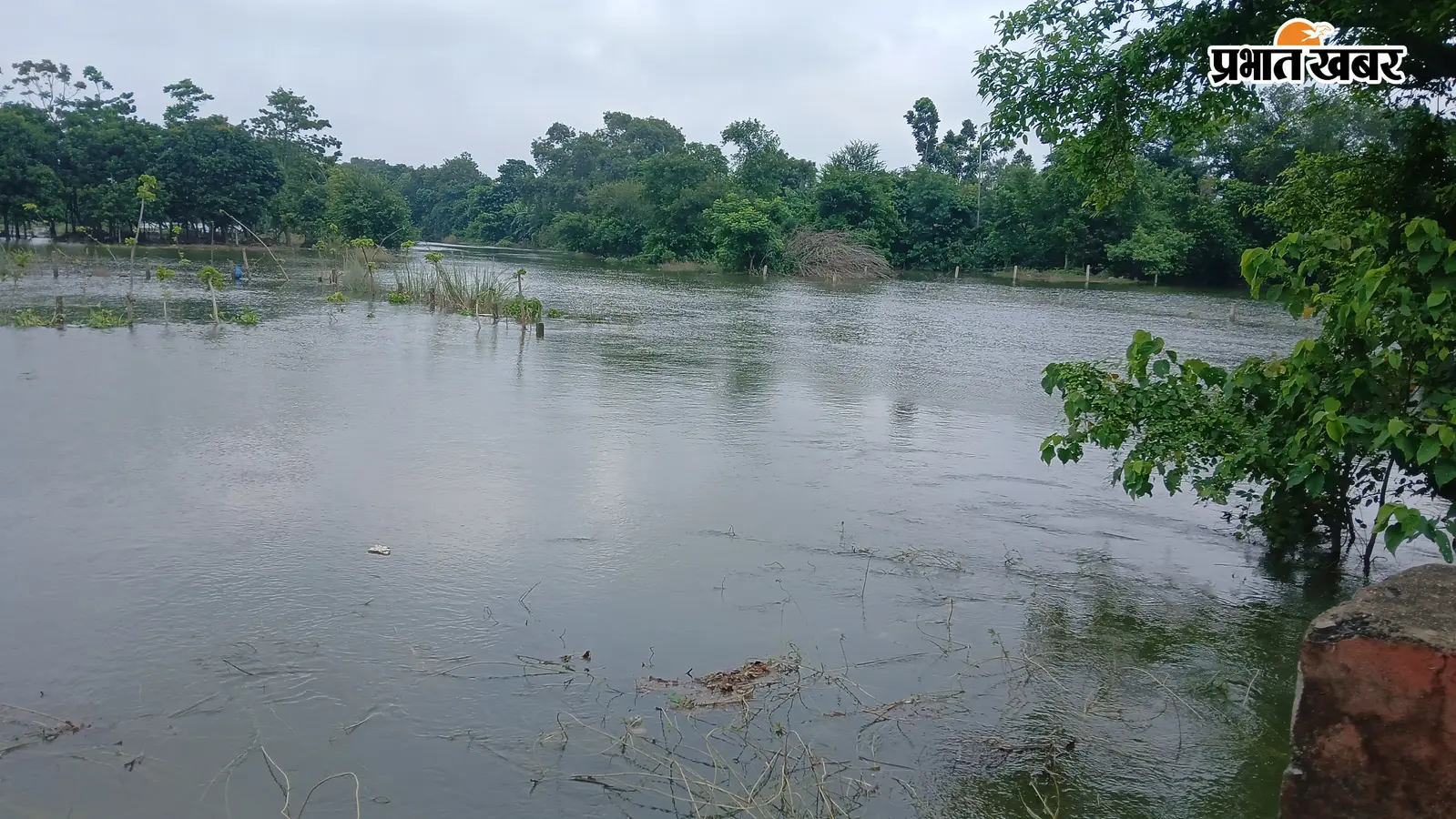 समस्तीपुर में बाढ़ का खतरा, गंगा का पानी रिहायशी इलाकों की ओर बढ़ा, कई सड़कें प्रभावित