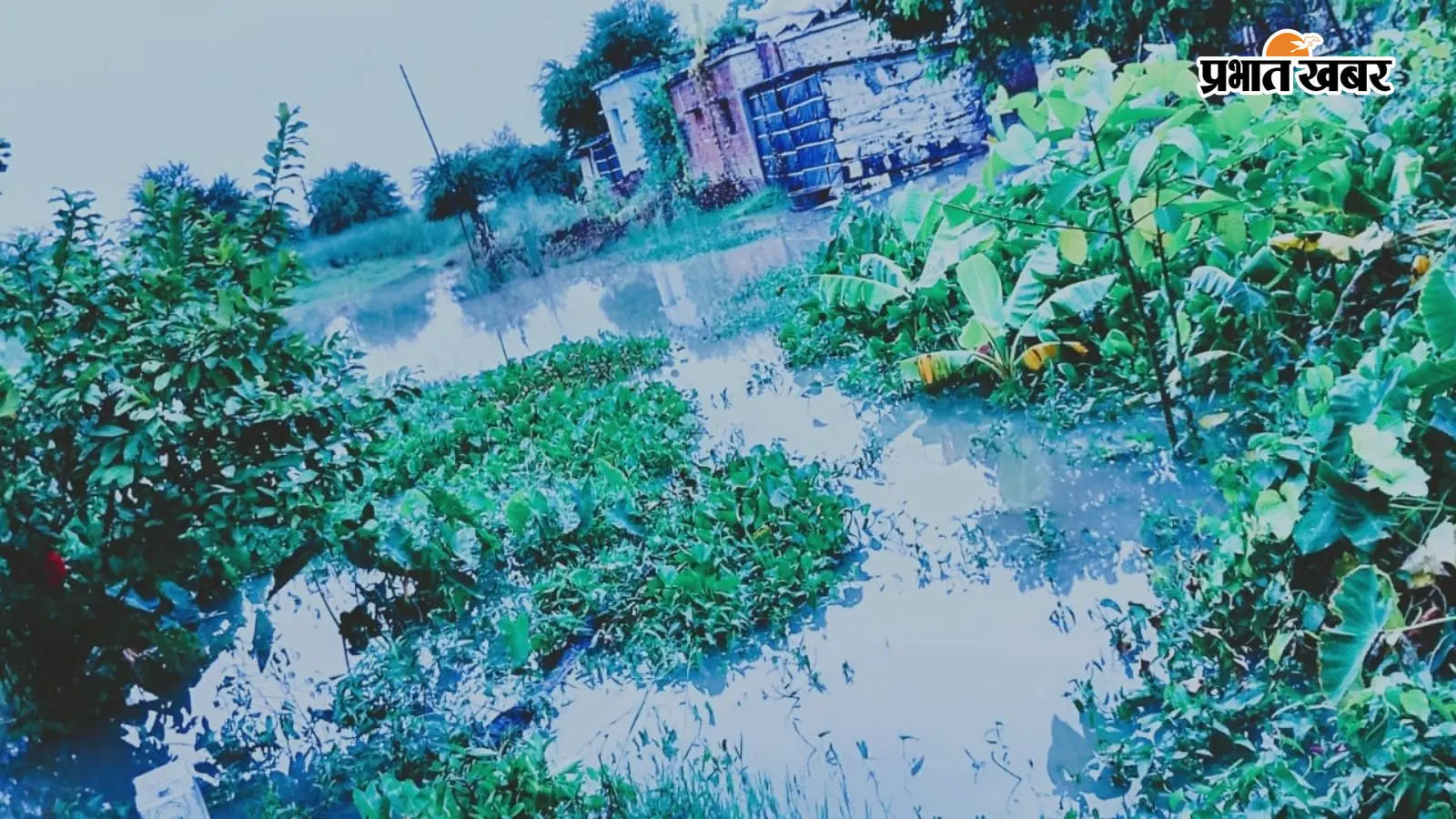 पटना में गंगा के रौद्र रूप से सहमे दियारा वासी, घर-स्कूल और अस्पताल में घुसा बाढ़ का पानी