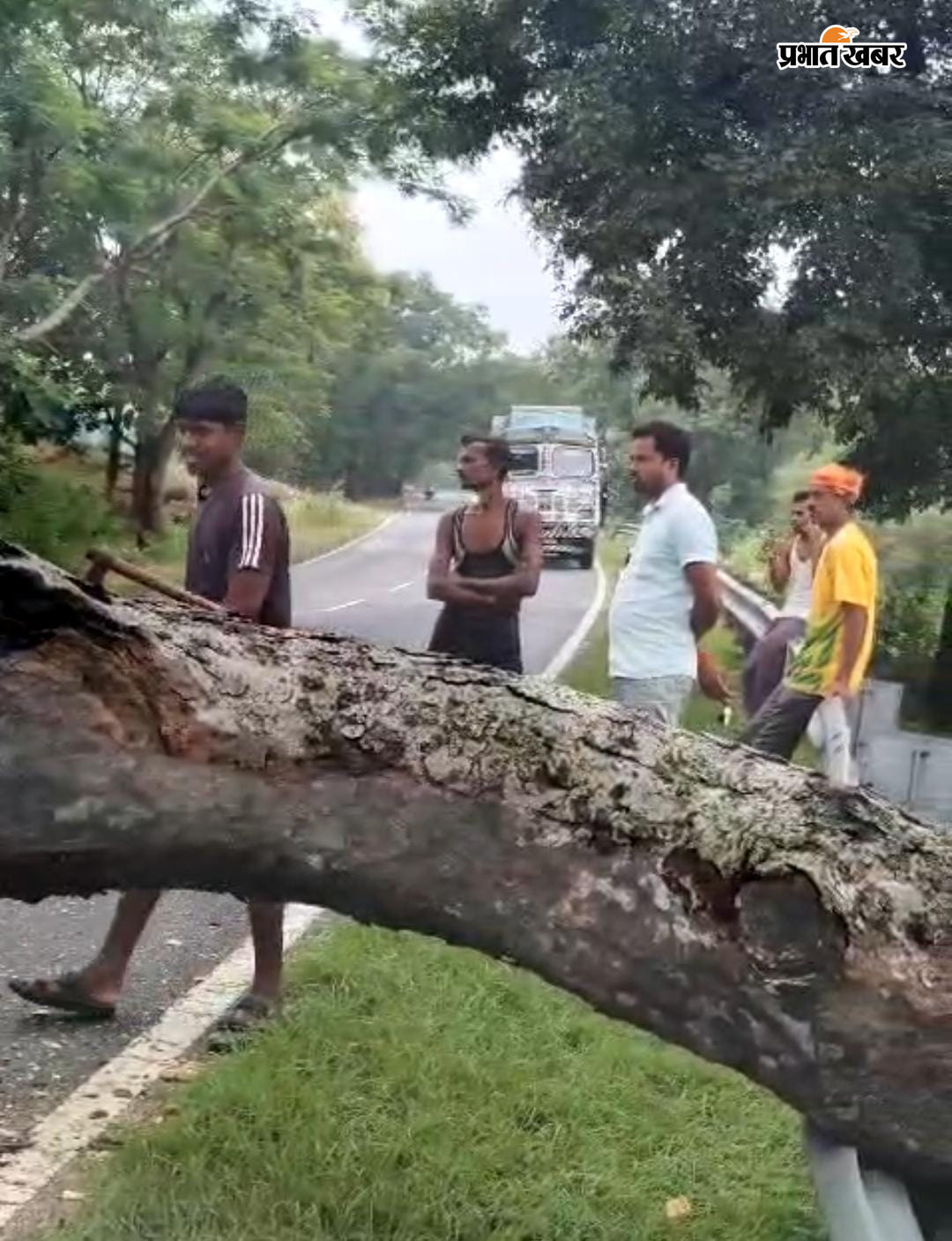 जर्जर गिरें पेड को काट कर हटवाते हुए मुखिया तुलसी महतो | Prabhat Khabar Network