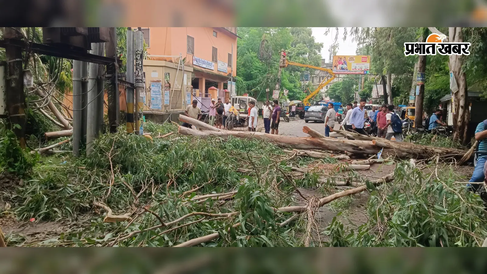 आरा में बारिश-आंधी का कहर, दो सड़कों पर गिरे पेड़; यातायात और बिजली आपूर्ति बाधित