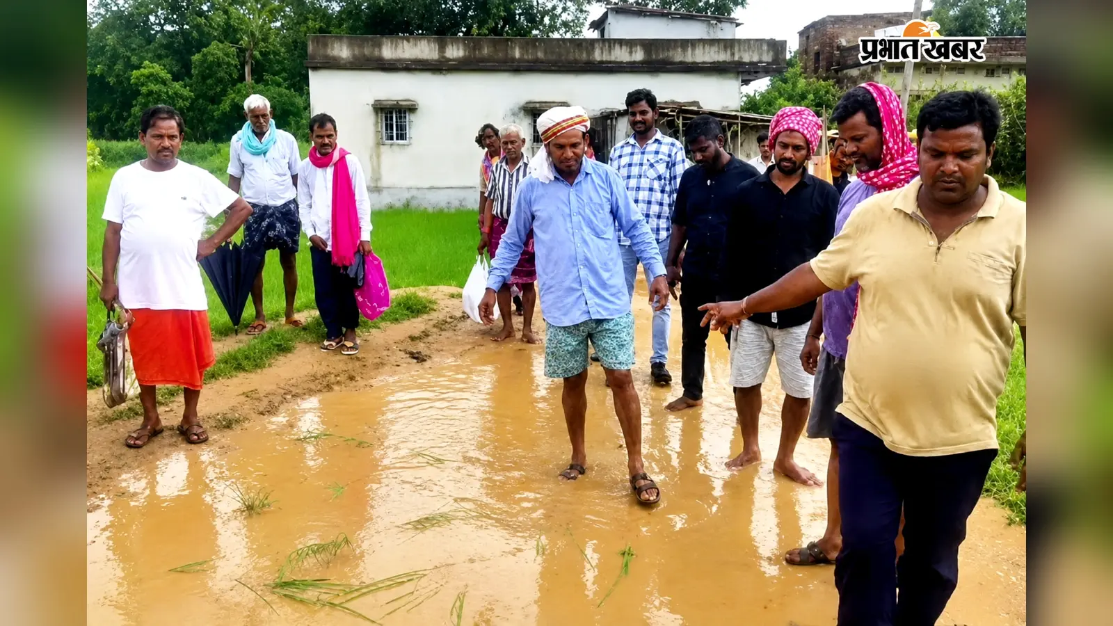 सड़क या खेत? 25 साल से मरम्मत नहीं, गड्ढों में पानी भरने पर ग्रामीणों ने रोपा धान