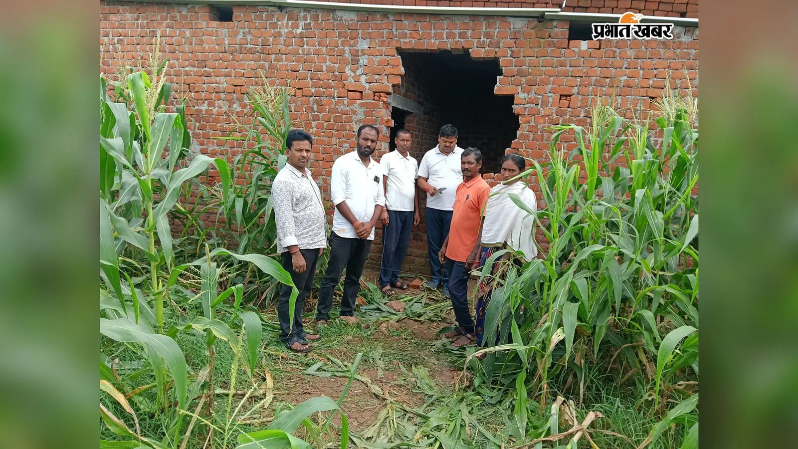 Latehar News: बालूमाथ में जंगली हाथी का आतंक, घर तोड़कर अनाज खाया और मक्का की फसल रौंदी; सो रहे परिवार ने भागकर बचायी जान