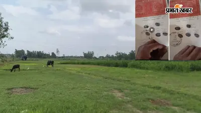 UP में शत्रु संपत्ति घोटाला: शाहजहांपुर से लखनऊ तक दाऊद इब्राहिम जैसी सैकड़ों बेशकीमती संपत्तियों पर भू-माफियाओं का कब्जा