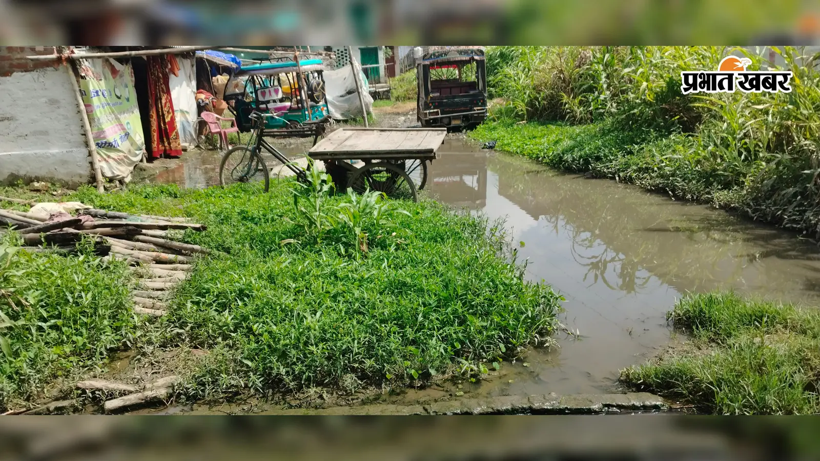 सीतामढ़ी नगर निगम के वार्ड-29 में जलजमाव से लोग नारकीय जीवन जीने को विवश