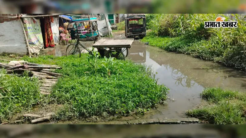सीतामढ़ी नगर निगम के वार्ड-29 में जलजमाव से लोग नारकीय जीवन जीने को विवश