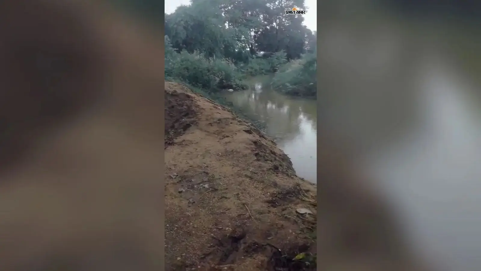 सिरदला में पाइन के गहरे पानी में डूबने से अधेड़ की मौत, गाय को वापस लाने के दौरान हुआ हादसा