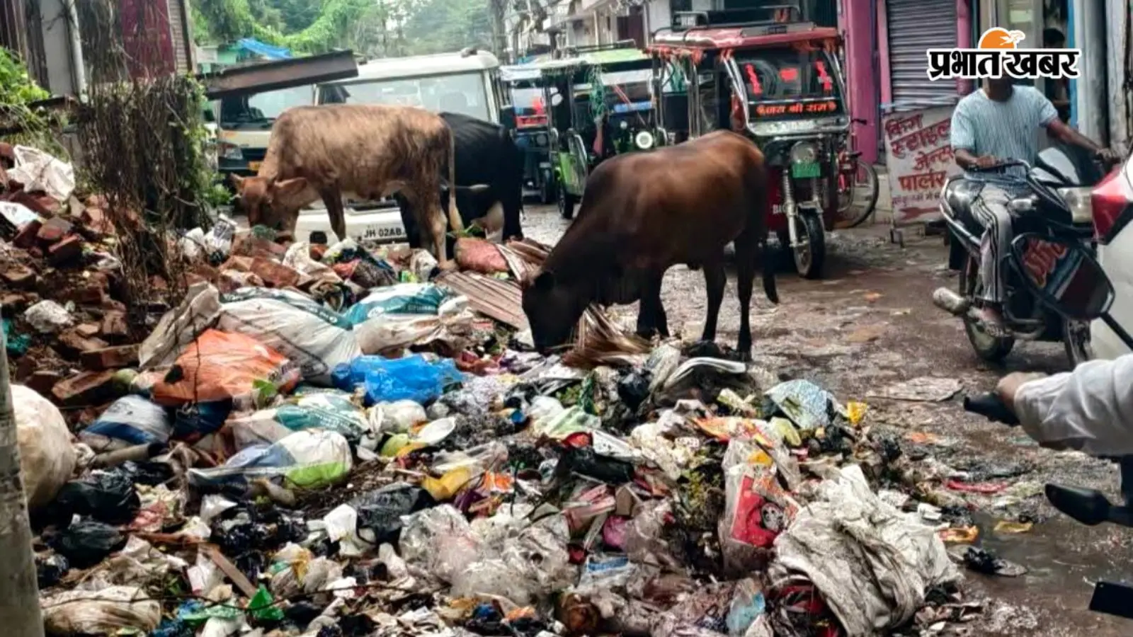 नवादा में बारिश ने खोली सफाई व्यवस्था की पोल, जगह-जगह कचरे का अंबार; बढ़ी बीमारी की आशंका