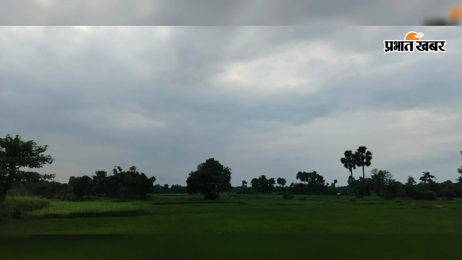 मानसून की सक्रियता से सीतामढ़ी में राहत, अगले तीन दिनों तक गरज-चमक के साथ वर्षा