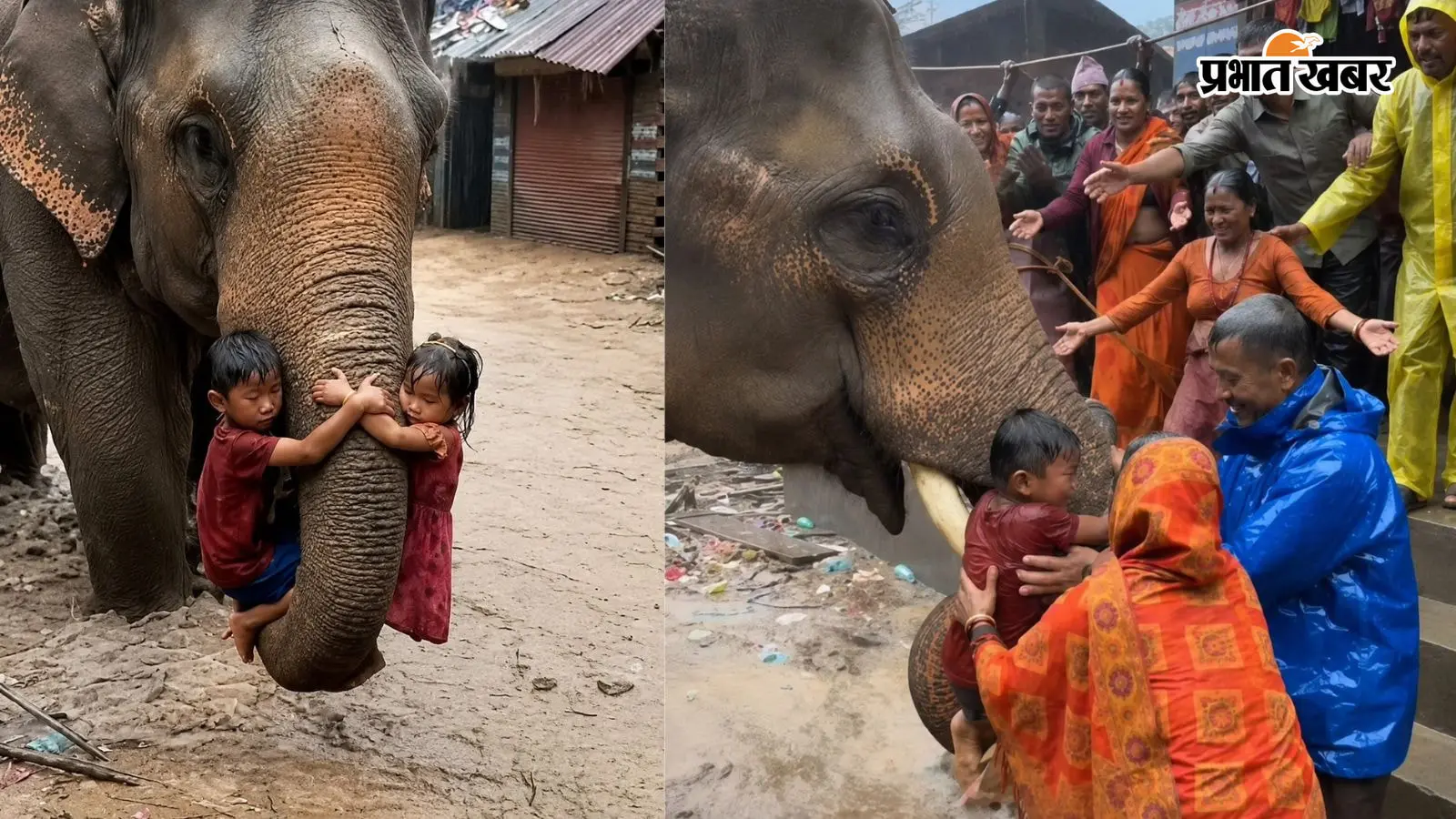 VIDEO : नेपाल में तबाही के बीच ‘गजराज’ बना फरिश्ता, नदी में डूब रहे दो बच्चों को सूंड से निकाला बाहर; वीडियो वायरल