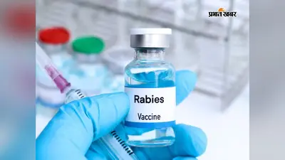 दरभंगा: DMCH में एंटी रेबीज का स्टॉक खत्म, वैक्सीन नहीं मिलने पर मरीजों ने किया हंगामा