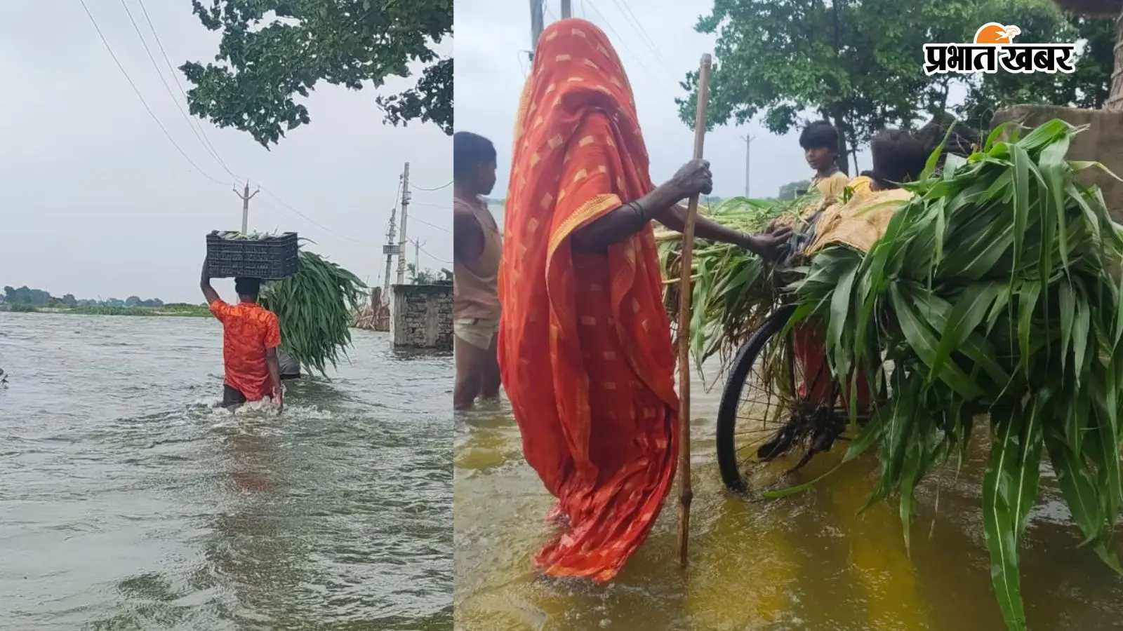 दानापुर में ढाई फुट ऊपर गंगा, हर घंटे तीन इंच बढ़ रहा पानी, अब गांव छोड़ने की तैयारी में लोग