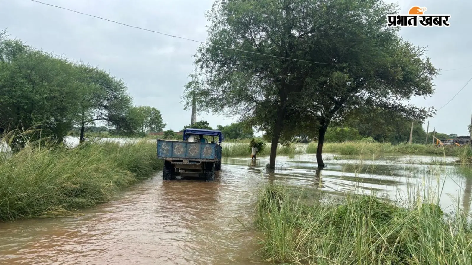 बेगूसराय में फिर बढ़ा गंगा का जलस्तर, शाम्हो के करीब 50 हजार लोग बाढ़ की चपेट में