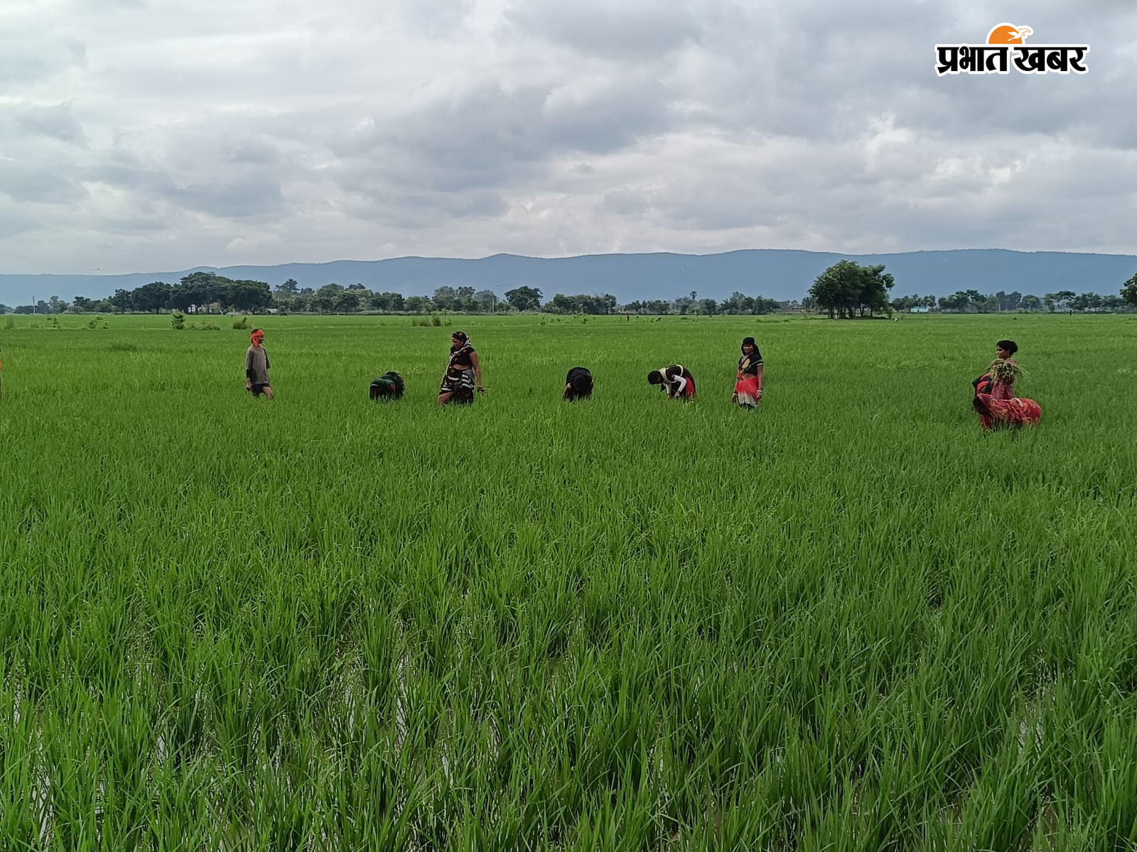् | Prabhat Khabar Network