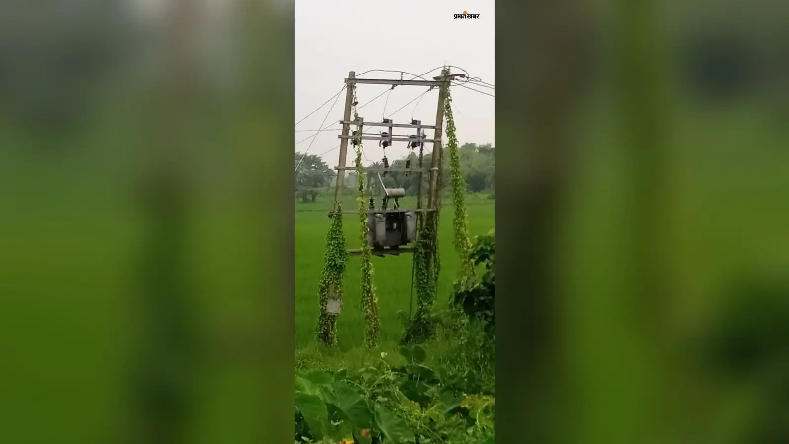 तालझारी में बारिश के बीच ट्रांसफार्मर खराब:15 घरों की बिजली गुल,अंधेरे में ग्रामीण