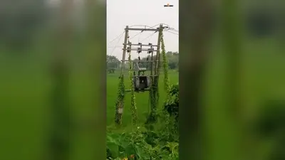 तालझारी में बारिश के बीच ट्रांसफार्मर खराब:15 घरों की बिजली गुल,अंधेरे में ग्रामीण