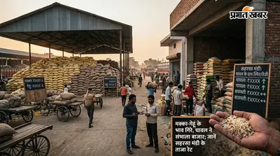 मक्का-गेहूं के भाव गिरे, चावल ने संभाला बाजार; जानें सहरसा मंडी के ताजा रेट