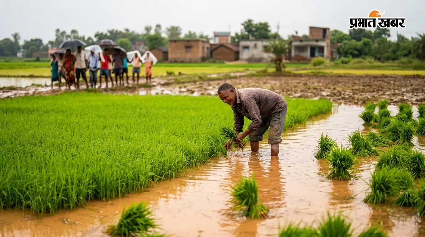 तीन दिनों से झमाझम बारिश, आमजन परेशान लेकिन किसानों के चेहरे खिले : जाने आगे कैसा रहेगा मौसम