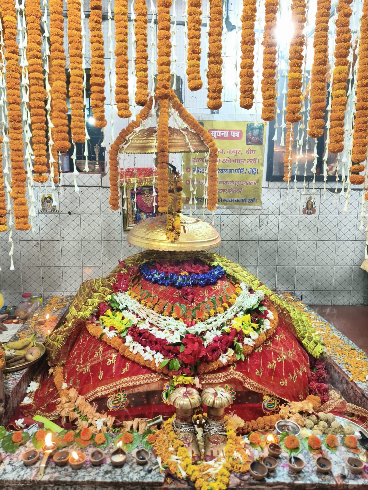 वन देवी मंदिर