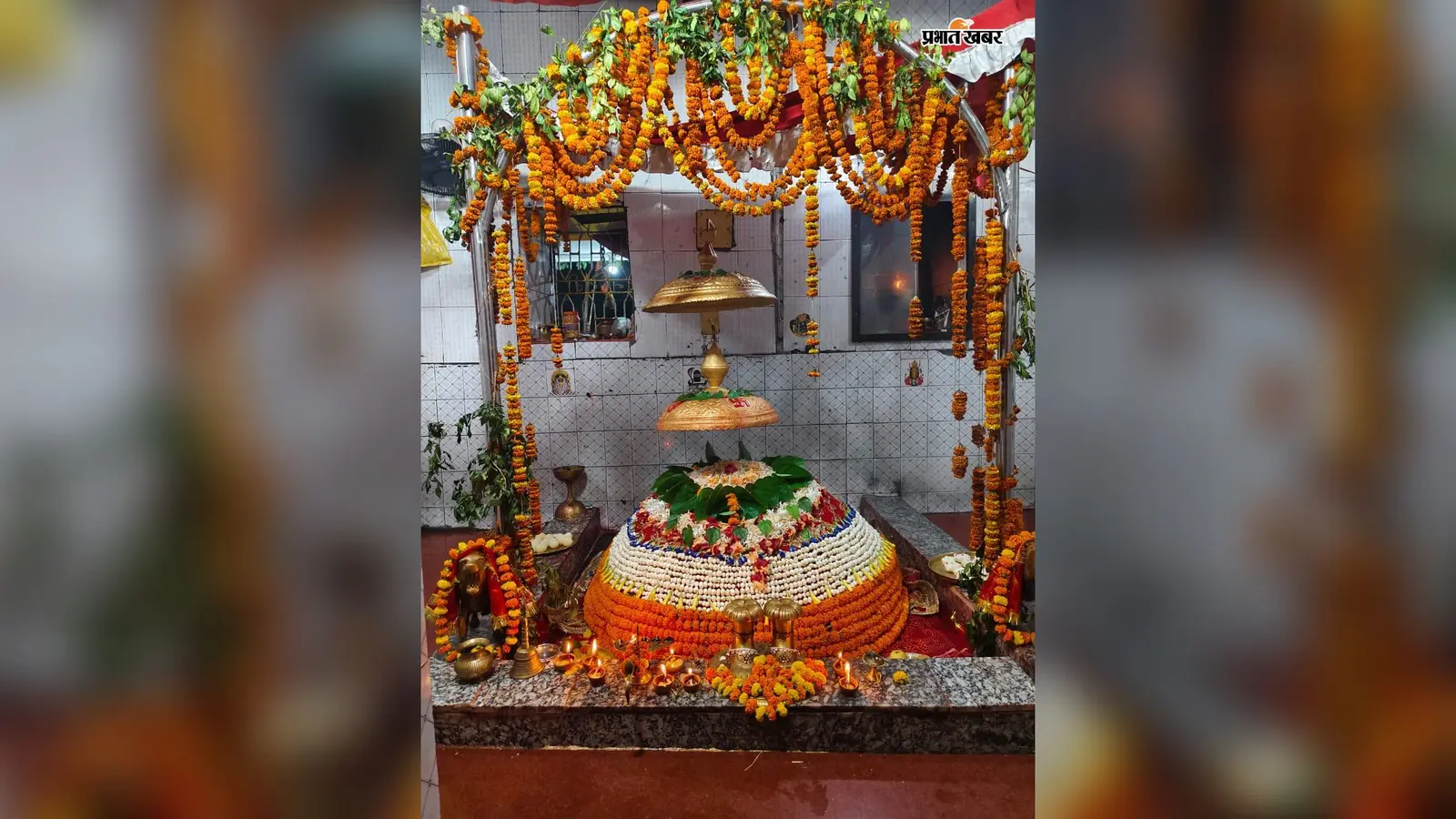 बिहटा के जंगल और वन देवी मंदिर का रहस्य अब बड़े पर्दे पर, बॉलीवुड फिल्म में दिखेगा बिहार कनेक्शन, स्थानीय लोगों में खुशी