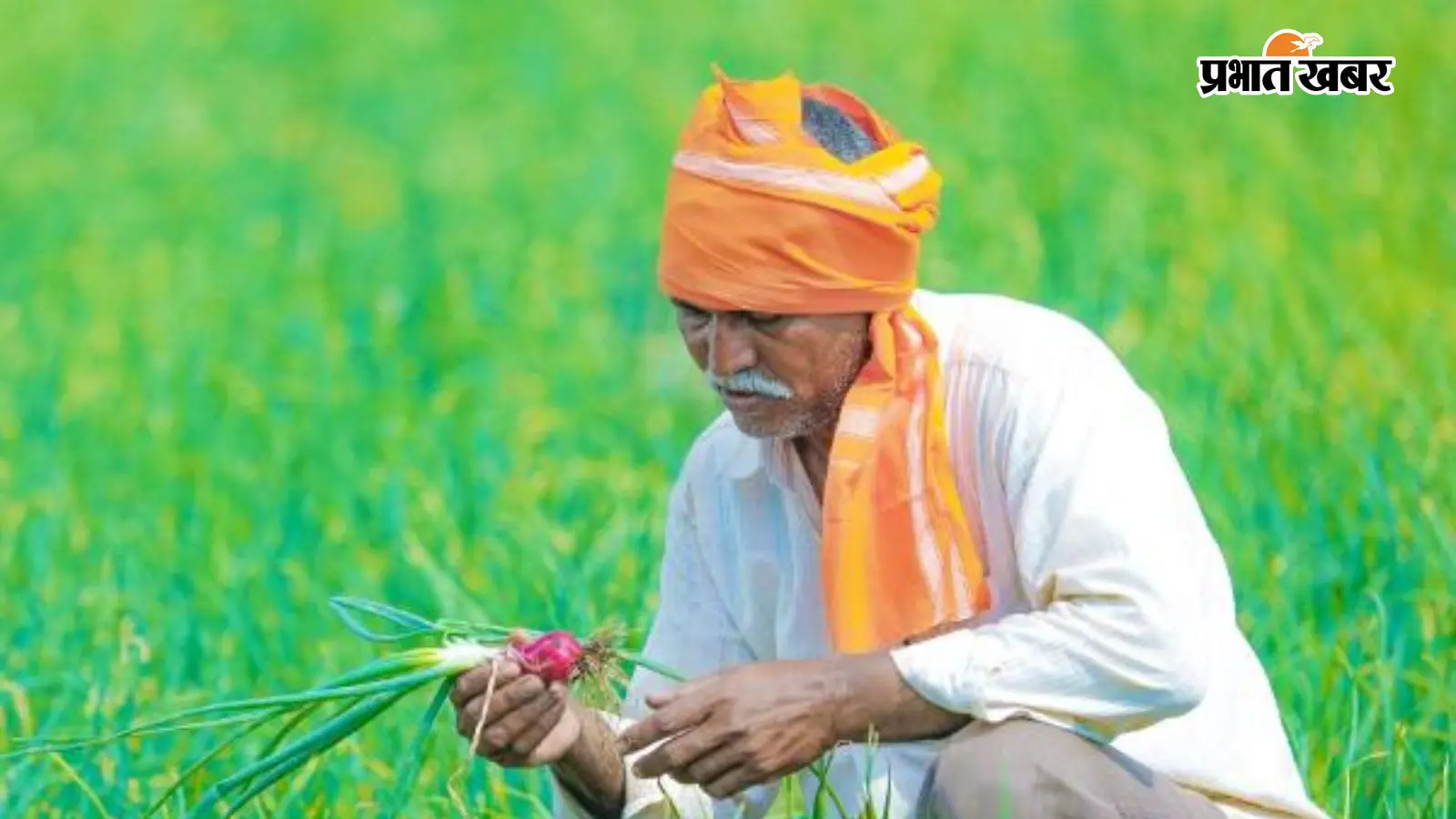 PM Kisan: लिस्ट में नाम होते हुए भी रुक सकती है 2000 रुपये की किस्त, तुरंत कर लें ये 3 काम