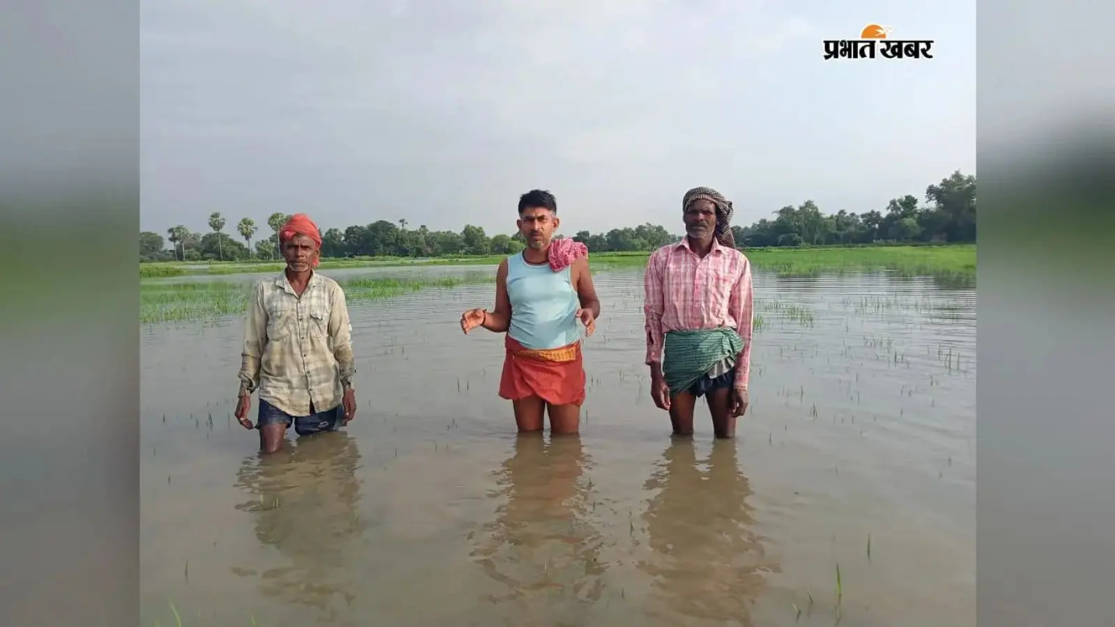 औरंगाबाद में बाढ़ के पानी में डूबी धान की फसल, ओबरा के दर्जनों गांवों में किसानों को भारी नुकसान