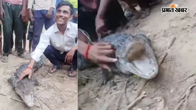 Aligarh Crocodile Video: रस्सी से बांधा, हाथ से खोला मुंह, अलीगढ़ में खूंखार मगरमच्छ के साथ युवकों का जानलेवा स्टंट