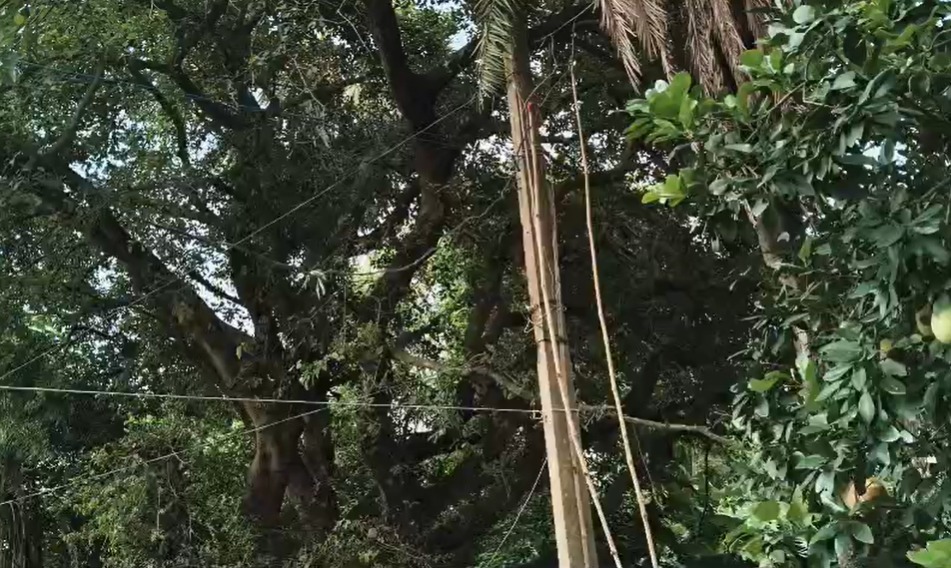 minapur electricity wire and police.png