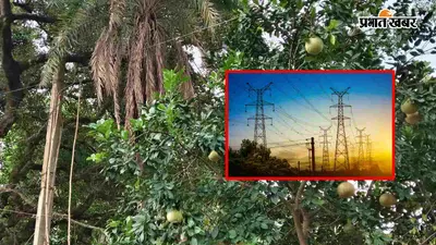 लापरवाही की हद: मीनापुर के मझुअर में जर्जर पोल से हादसे की आशंका, एलॉटमेंट के नाम पर अटकी ग्रामीणों की सुरक्षा