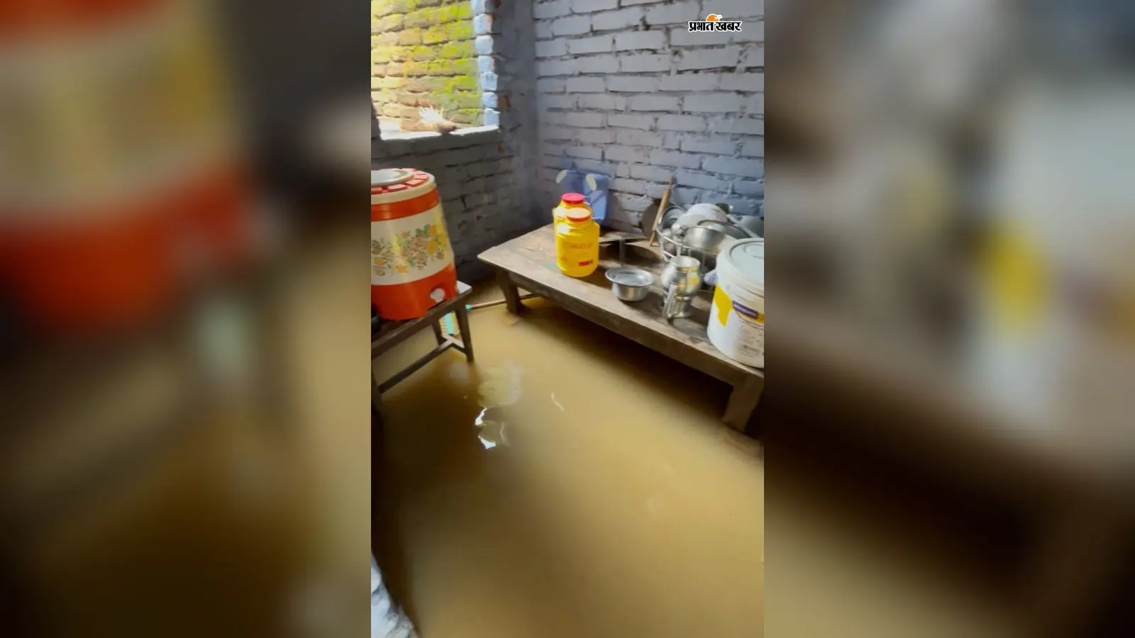 बारिश से जलमग्न हुआ मोहल्ला, घरों में घुसा एक फीट से ज्यादा पानी; जहरीले जीव-जंतुओं का खतरा