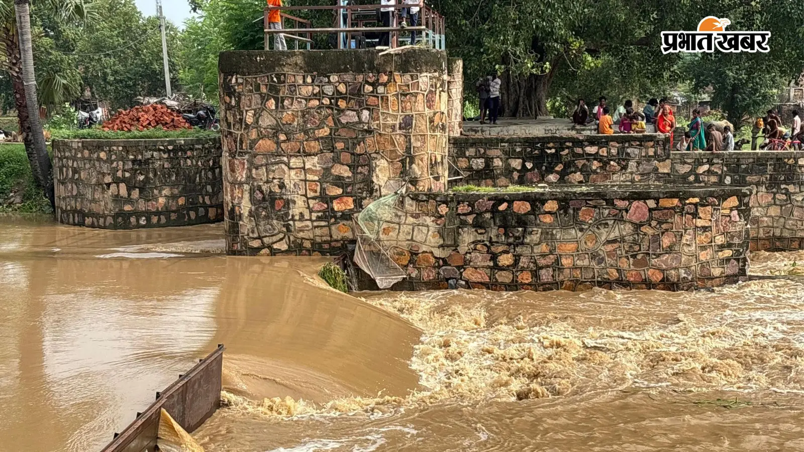 शेखपुरा : सालों बाद कोरिहारी नदी में आया पानी, किसानों में खुशी; धान की फसल को मिलेगी सिंचाई की उम्मीद