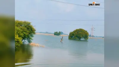 अकबरनगर और चानन बहियार में दोबारा बढ़ा बाढ़ का पानी, निचले इलाकों में फिर बढ़ी ग्रामीणों की टेंशन
