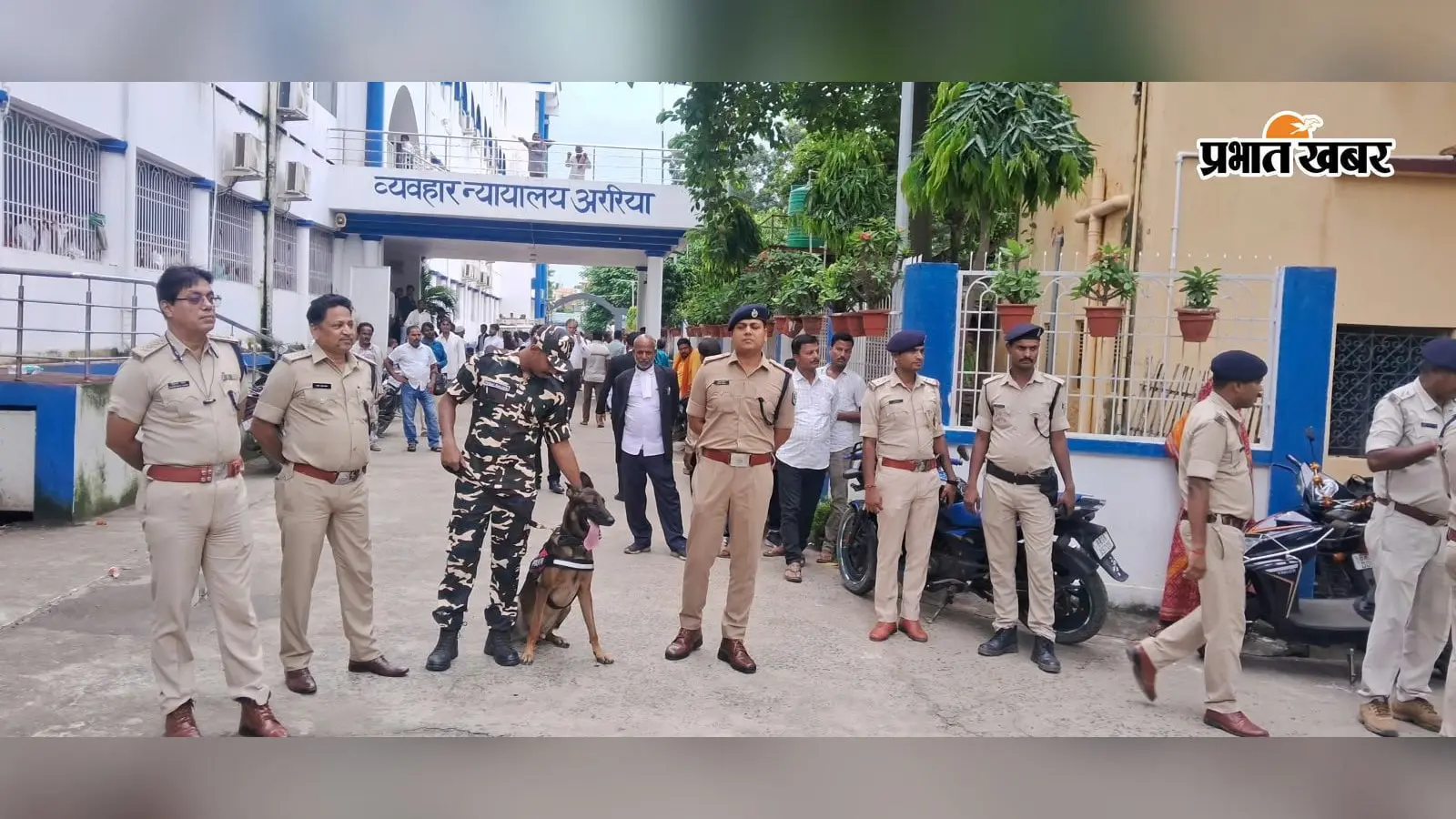 मौत का बंद लिफाफा और चेन्नई कनेक्शन! अररिया कोर्ट को बम से उड़ाने की धमकी के पीछे आखिर कौन? जांच में घूमा पुलिस का सिर