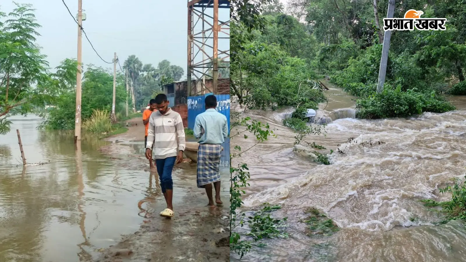 पटना के धनरूआ में दरधा नदी का कहर, 25 फीट टूटा तटबंध; 30 घरों में घुसा पानी