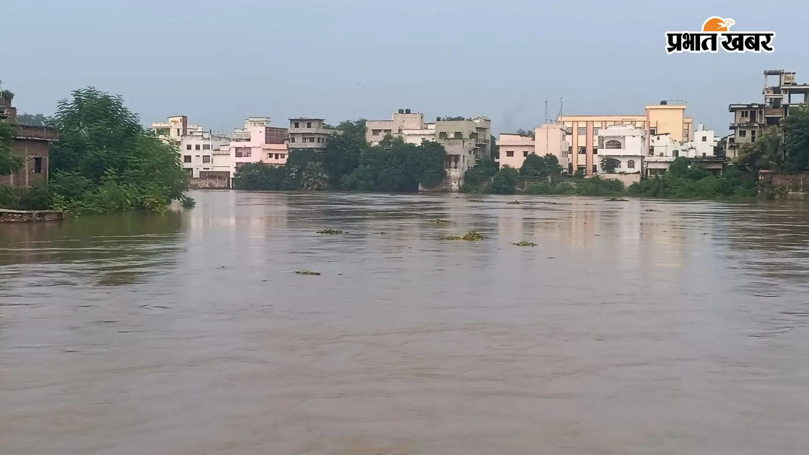 शाहपुर में बाढ़ का विकराल रूप, 75 से अधिक गांवों में पहुंचा पानी; 1 लाख से ज्यादा आबादी प्रभावित