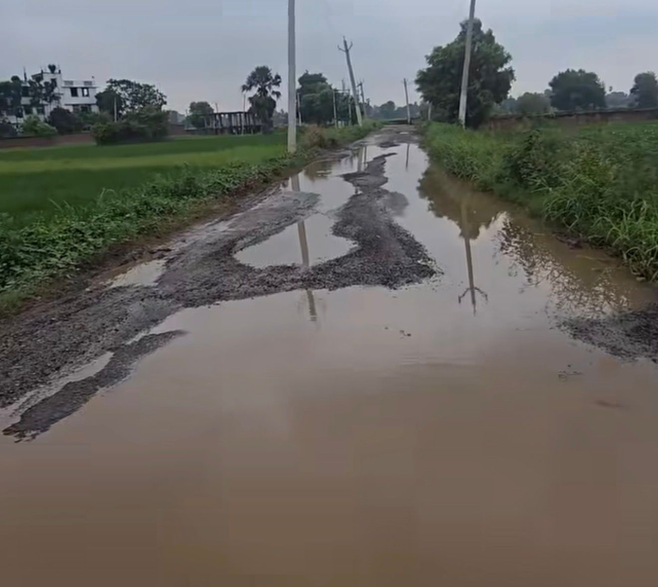 सड़क का हाल-बेहाल