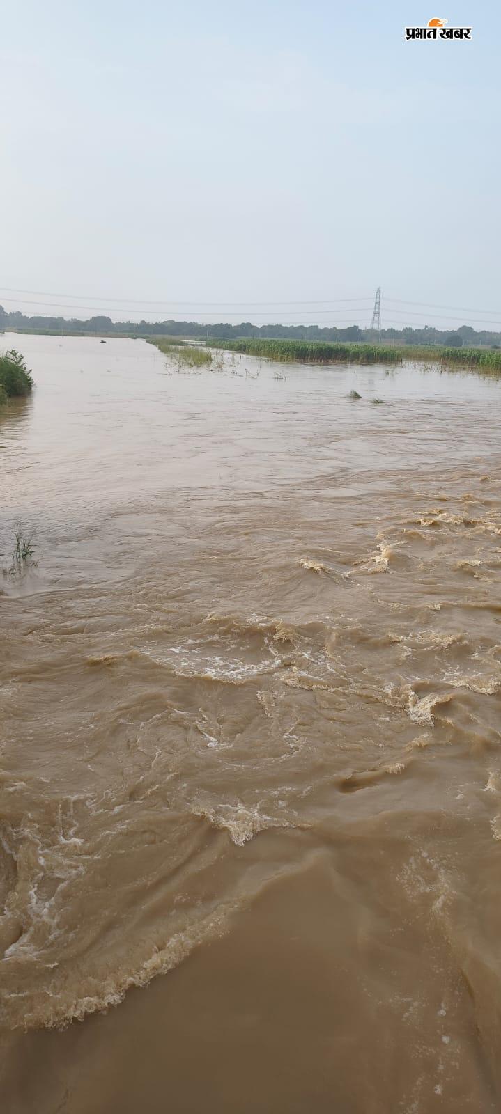 फोटो - खुटहा पंचायत में गंगा के पानी से डूबी फसल फोटो - तेजी से खेतों में फैल रहा गंगा नदी का पानी | Prabhat Khabar Network