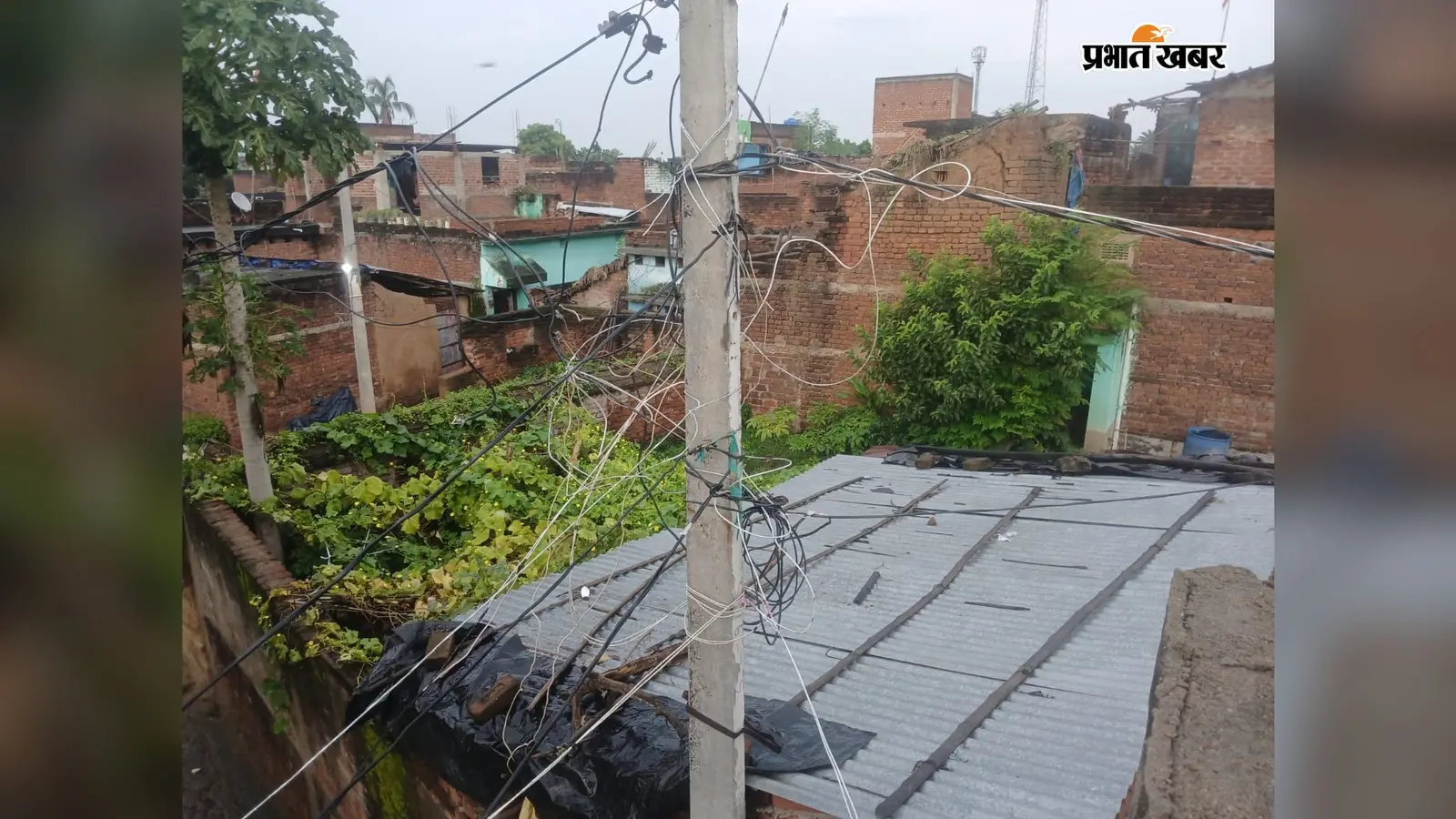 महागामा के विश्वासखानी में खतरे में जिंदगी, जर्जर बिजली के तारों से परेशान ग्रामीण