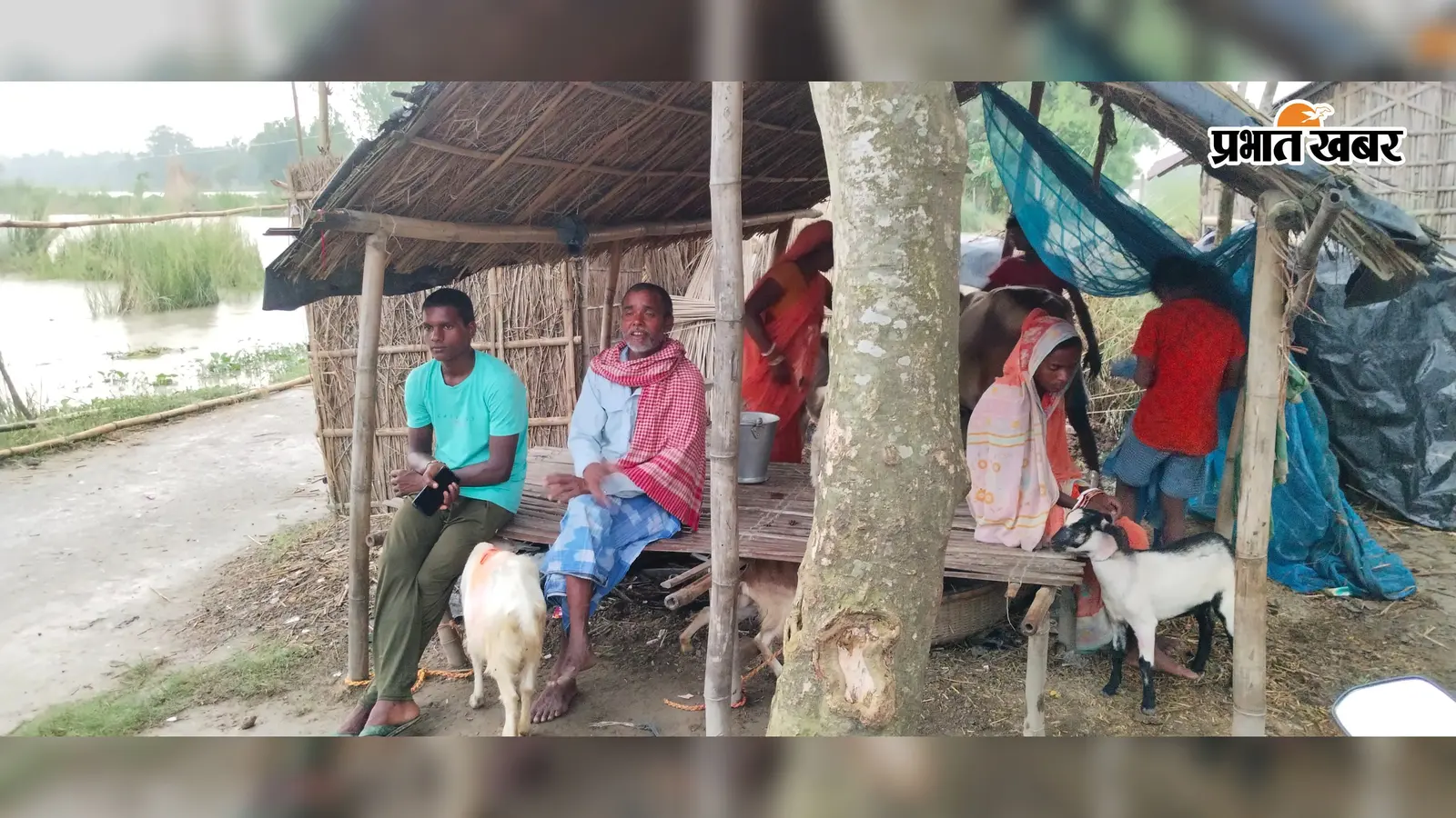 अमदाबाद: गंगा में 9 और महानंदा में 8 सेमी का उछाल, दर्जन भर नए गांवों में घुसा बाढ़ का पानी, एक ही छत के नीचे इंसान और मवेशी