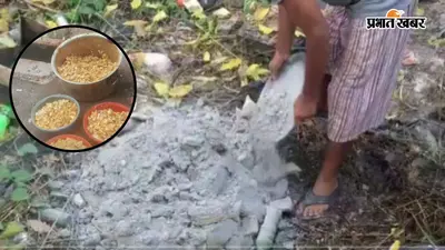 ट्रेन में समोसा खाने वाले हो जाएं सावधान, कानपुर में पकड़ा गया गंदा सच, रेड में मिला डेढ़ क्विंटल सड़ा आलू