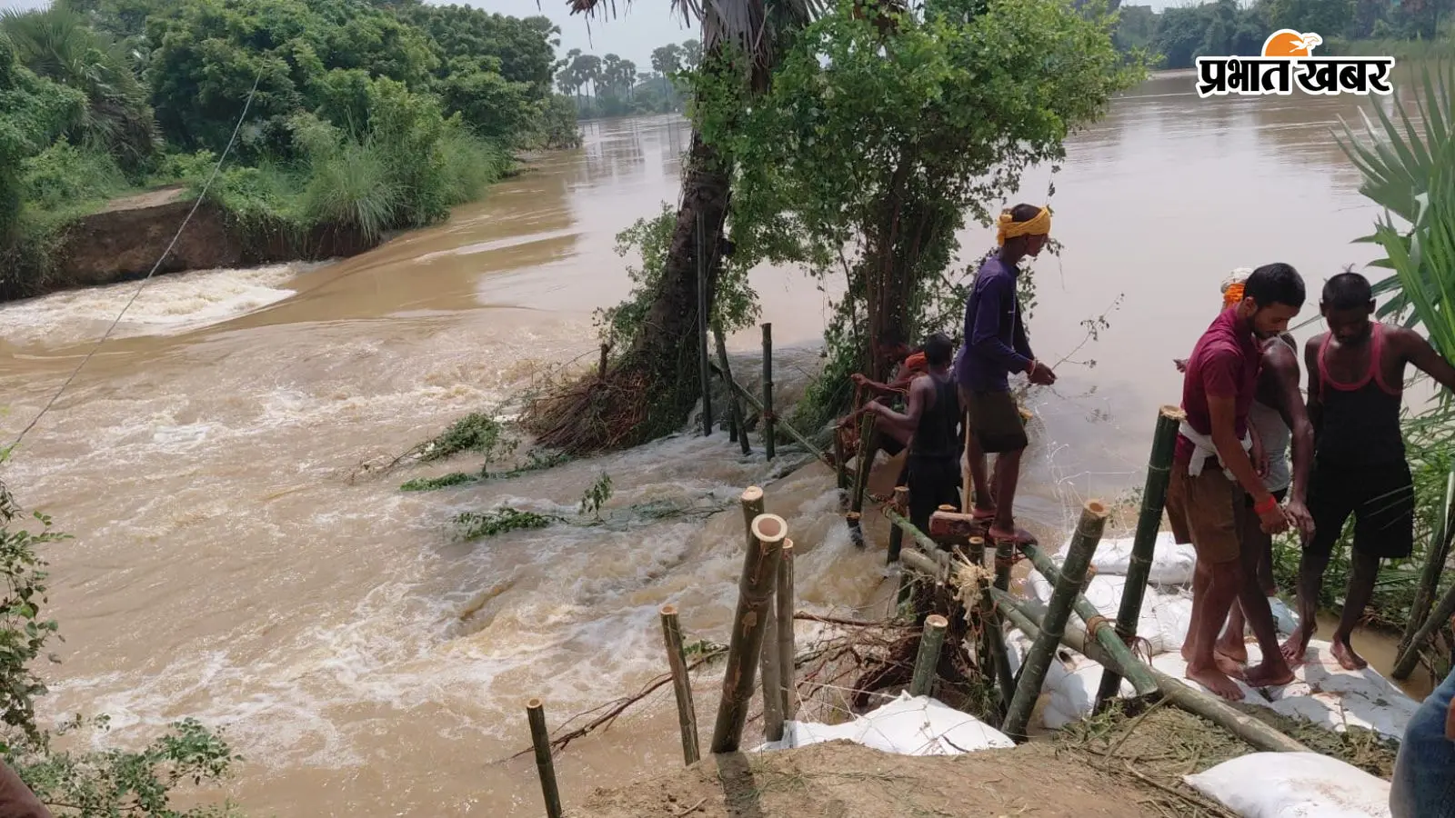 पटना : दनियावां में तटबंध टूटा, हजारों एकड़ धान की फसल डूबी, आक्रोशित किसानों ने SH-78 किया जाम